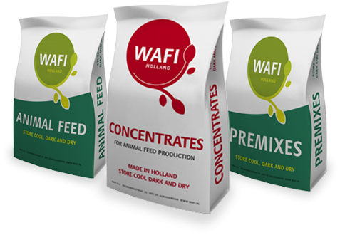 Wafi