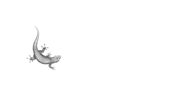Bostik