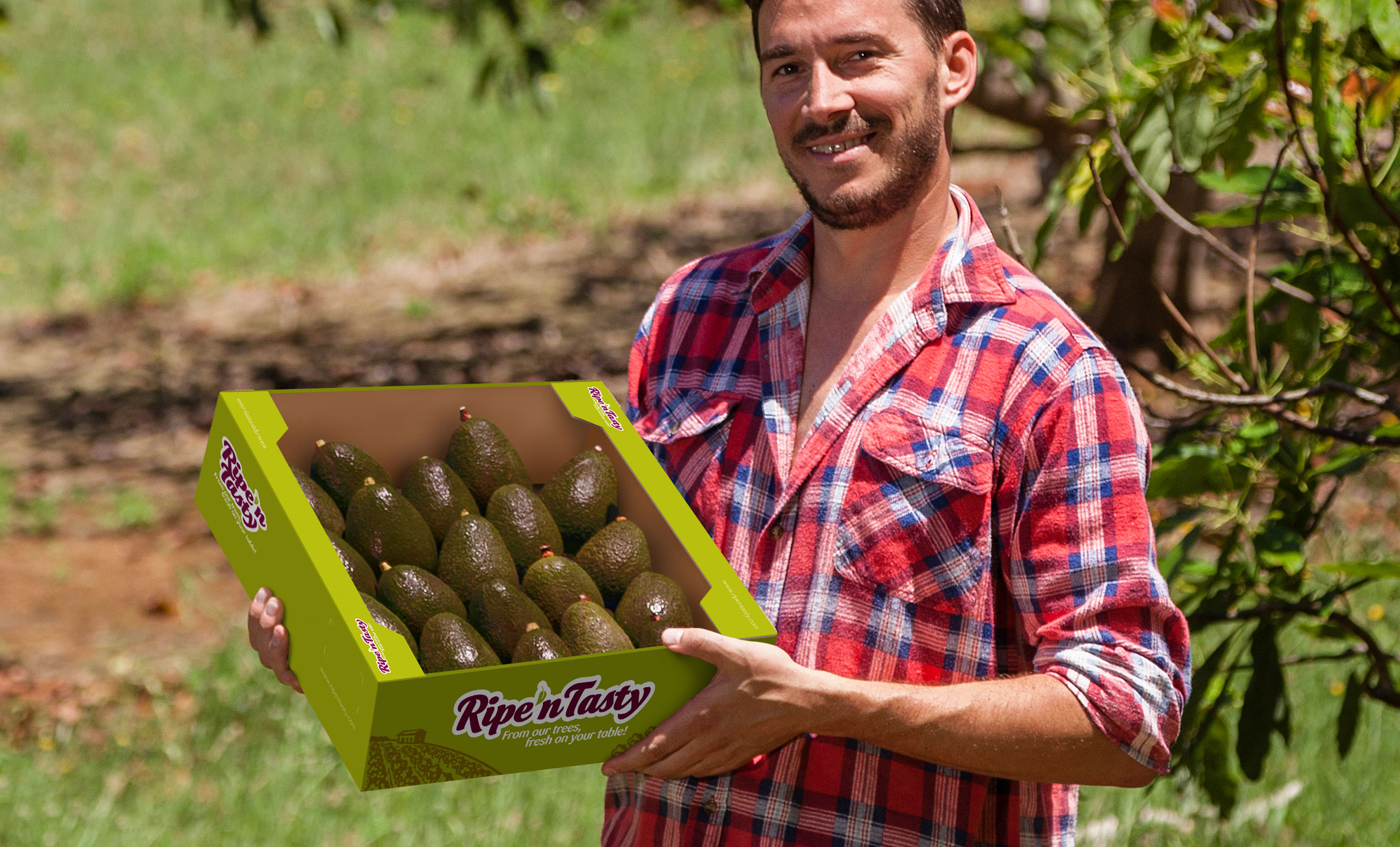Ripe 'n Tasty