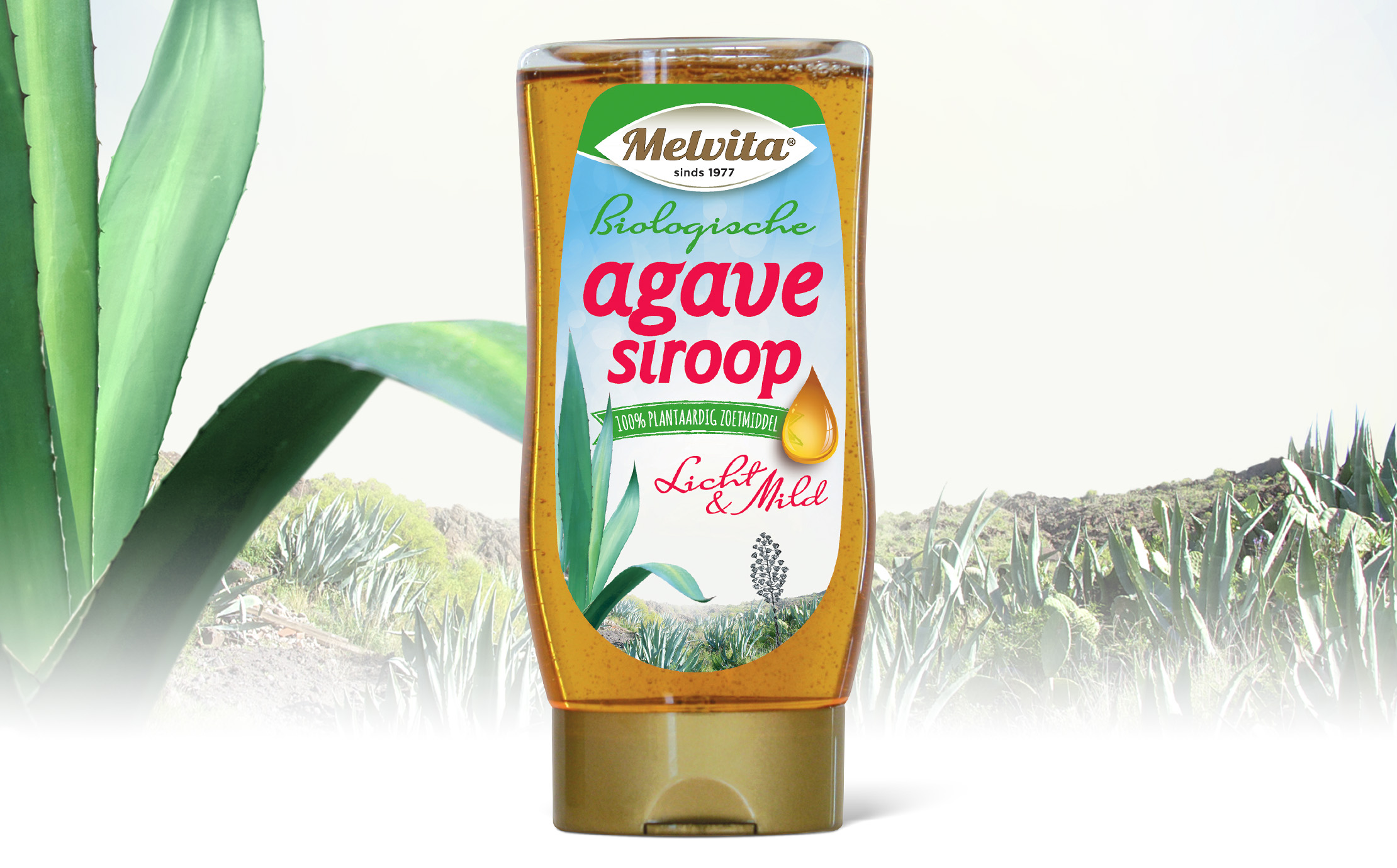 Melvita
