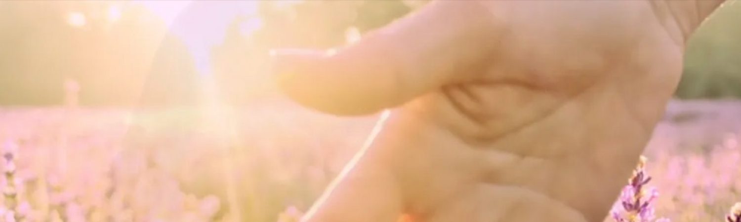 Bolsius Aromatic commercial
