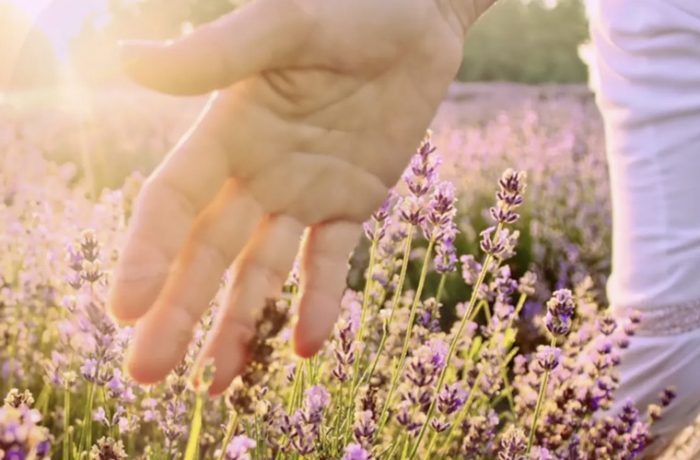 Bolsius Aromatic commercial
